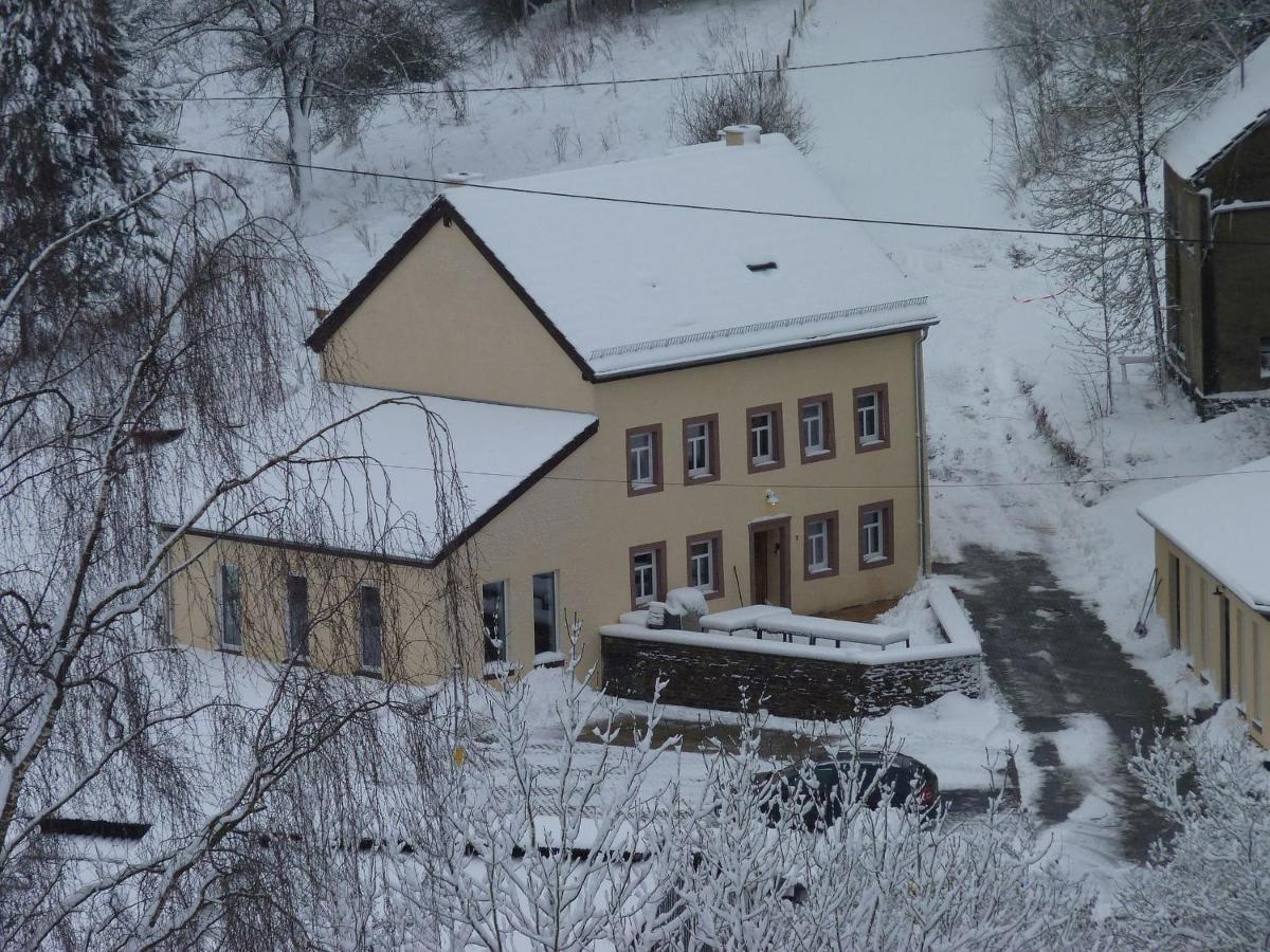 Вилла Suedeifel Ferienhaeuser Christian Faust Zweifelscheid Экстерьер фото
